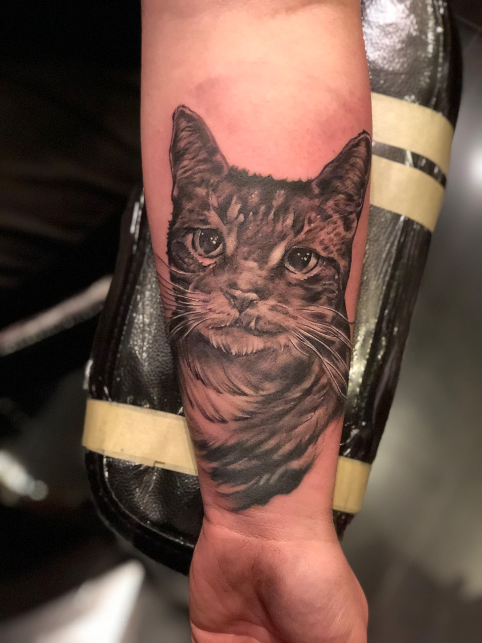 Unleash your wild side with realistic animal tattoos  magnumtattoosupplies
