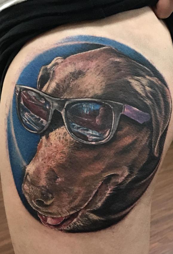 Eric Alvino's portfolio