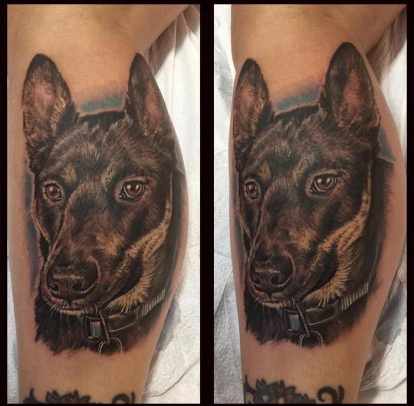 Eric Alvino's portfolio