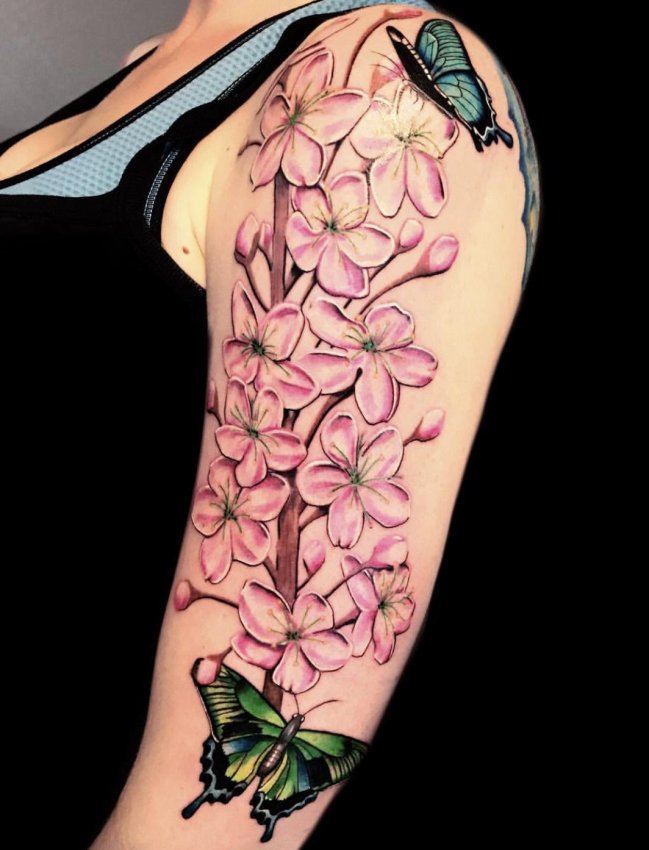 Steven Banegas' portfolio