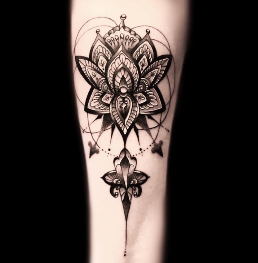 Steven Banegas' portfolio