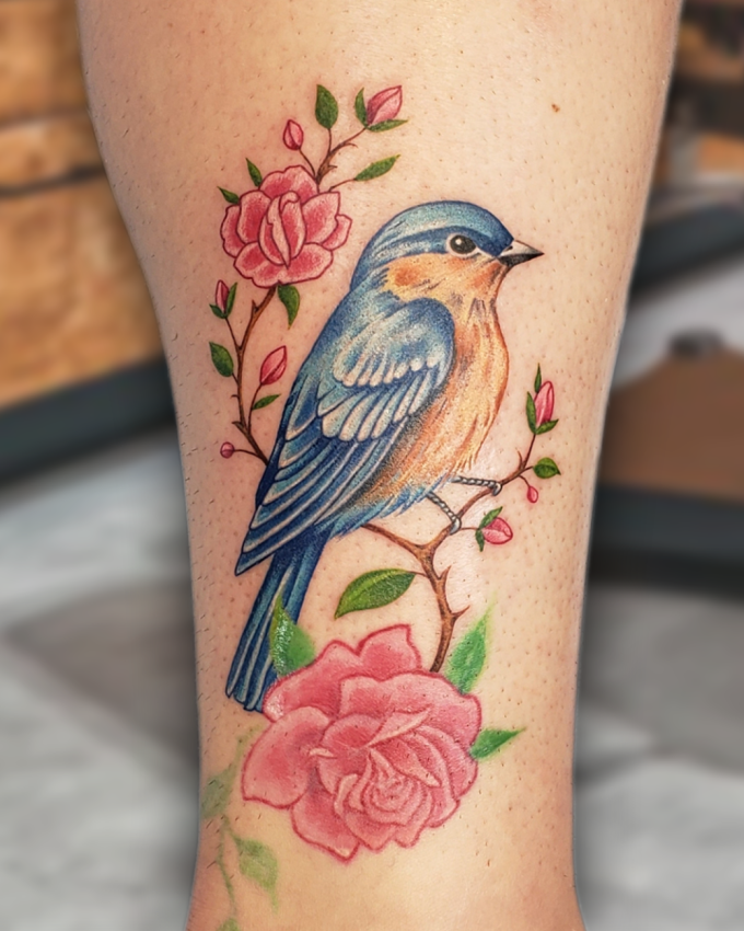 bird