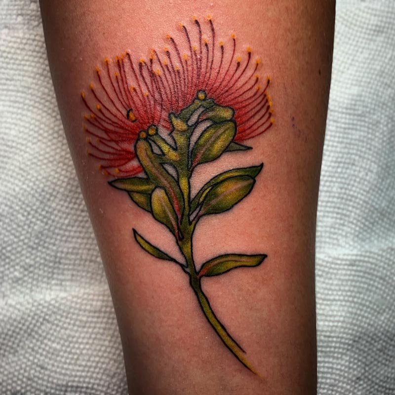 Update more than 68 mimosa tree tattoo  incdgdbentre