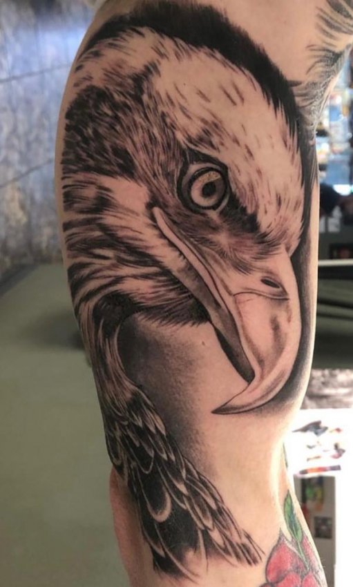 Explore the 19 Best animal Tattoo Ideas 2023  Tattoodo